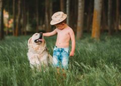 Une complicité entre l’enfant et l’animal